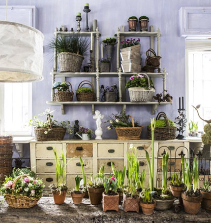 Alessi Fiori, Fiori, piante e oggettistica per la casa e il giardino