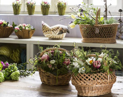 Alessi Fiori, Fiori, piante e oggettistica per la casa e il giardino