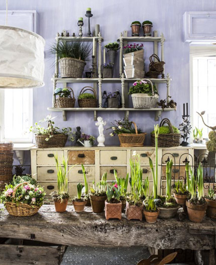 Alessi Fiori, Fiori, piante e oggettistica per la casa e il giardino